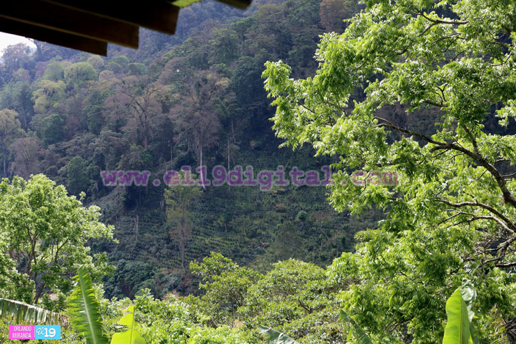 ecolodge
